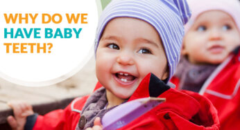 Why Do We Have Baby Teeth?